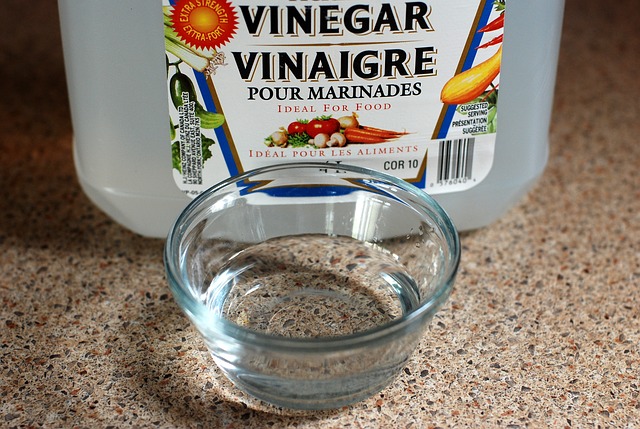 keep spiders away - vinegar