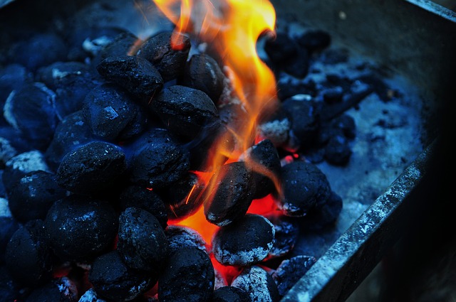 survival uses for charcoal