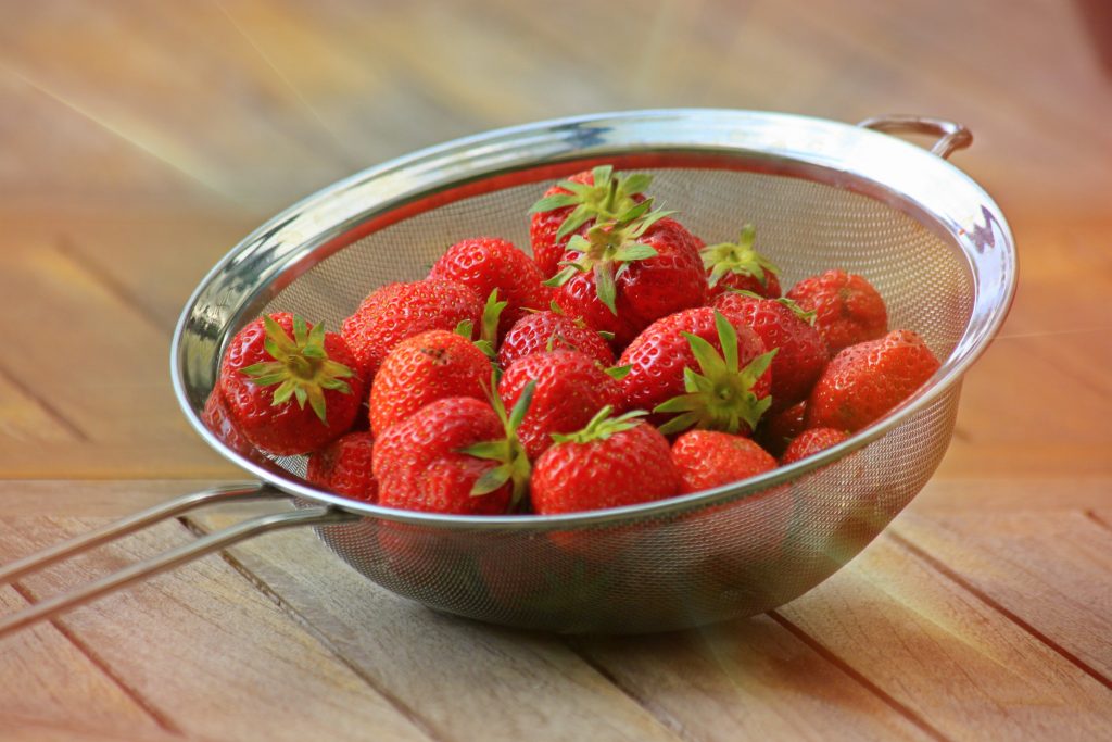 hydroponic system - strawberries